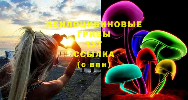 ECSTASY Белокуриха