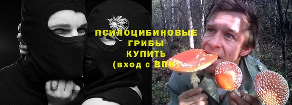 ECSTASY Белокуриха